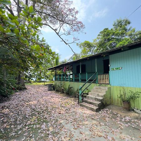 カウイータ Casa Mamreホステル エクステリア 写真