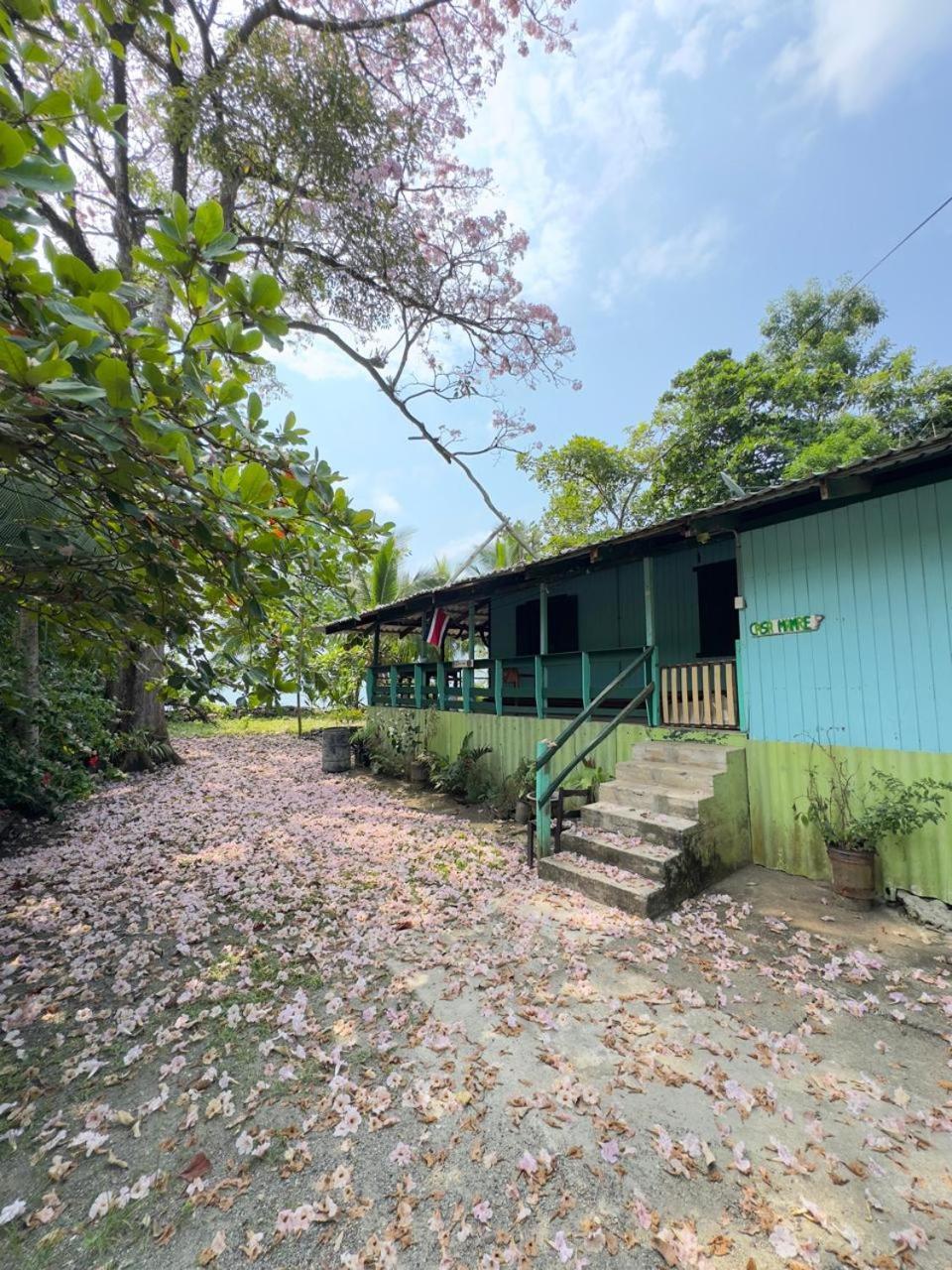 カウイータ Casa Mamreホステル エクステリア 写真