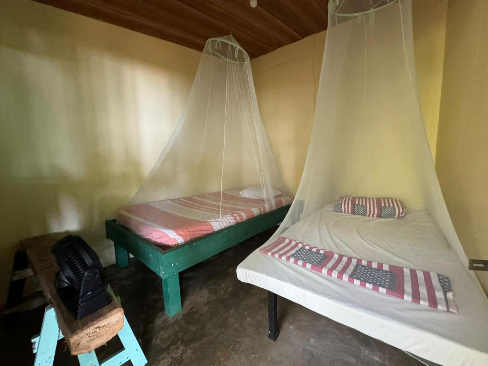 カウイータ Casa Mamreホステル エクステリア 写真